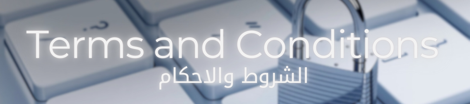 Terms & Conditions Banner